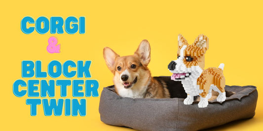 Unleashing Joy: Corgi and Its Block Center twin