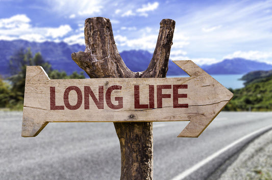 The Secret To Living A Long And Healthy Life