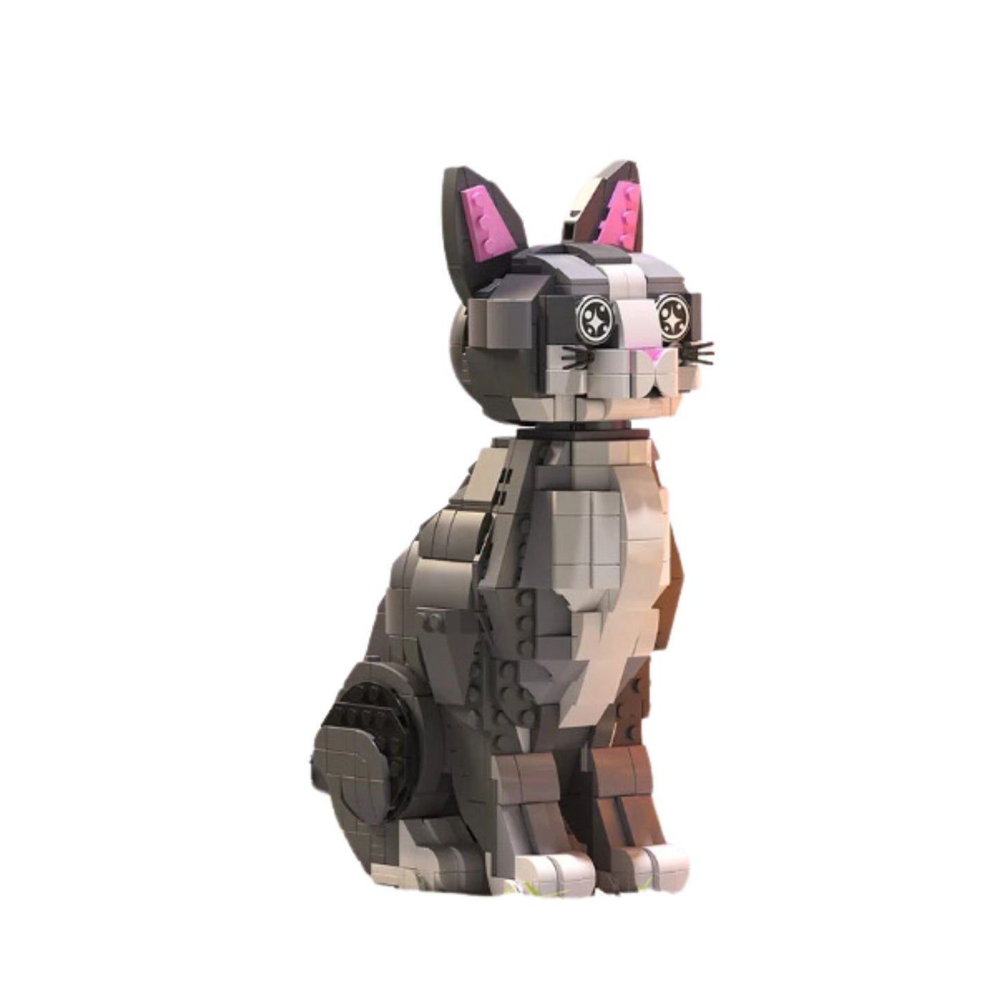 Grey Bobby Cat