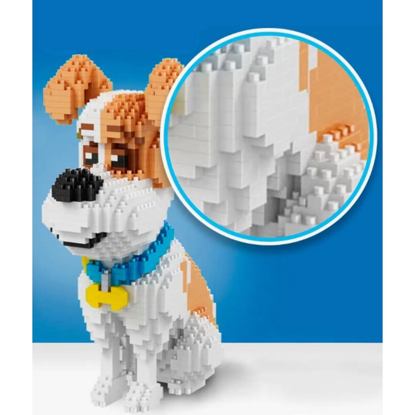 Jack Russell sitting - Block Center