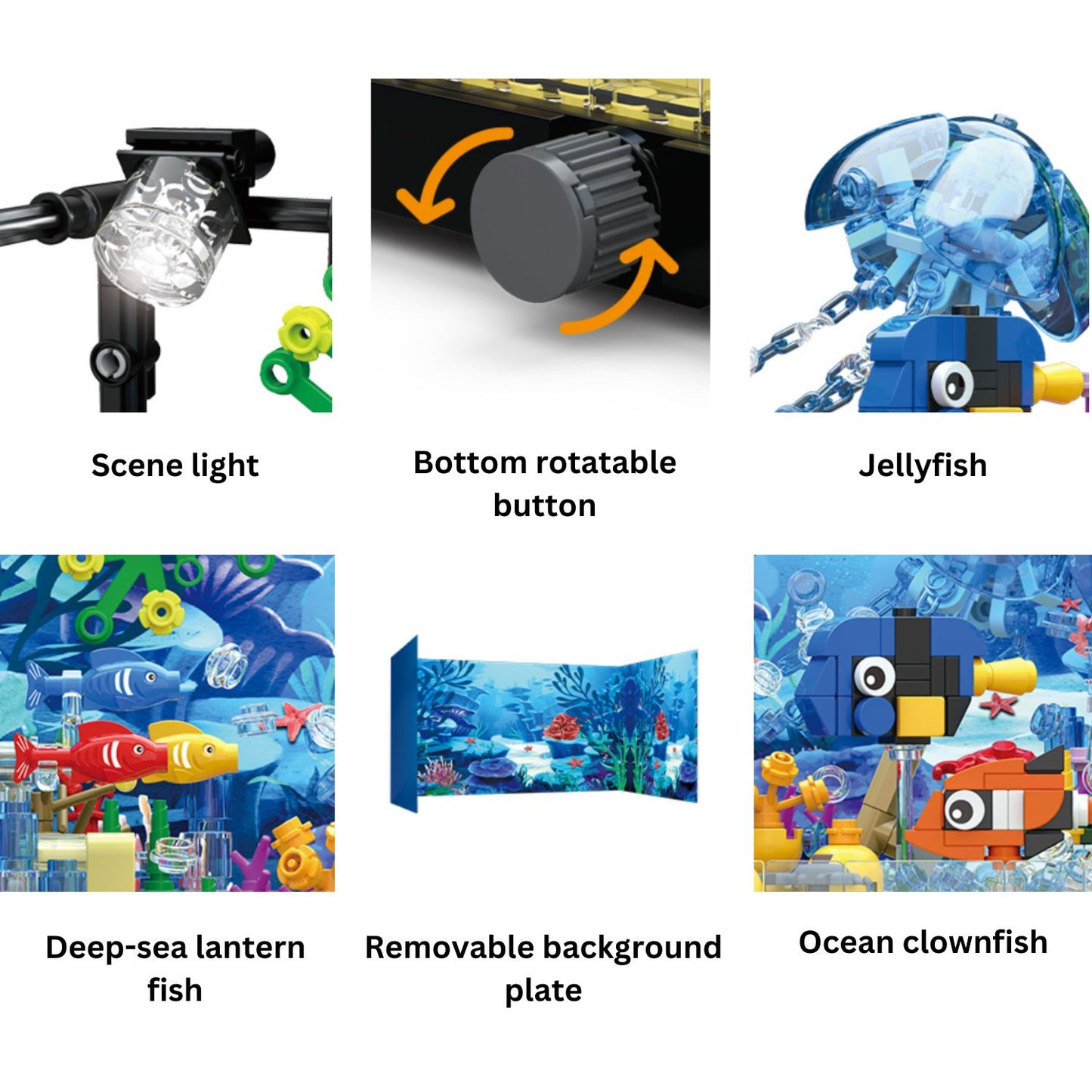 Fish Tank Set