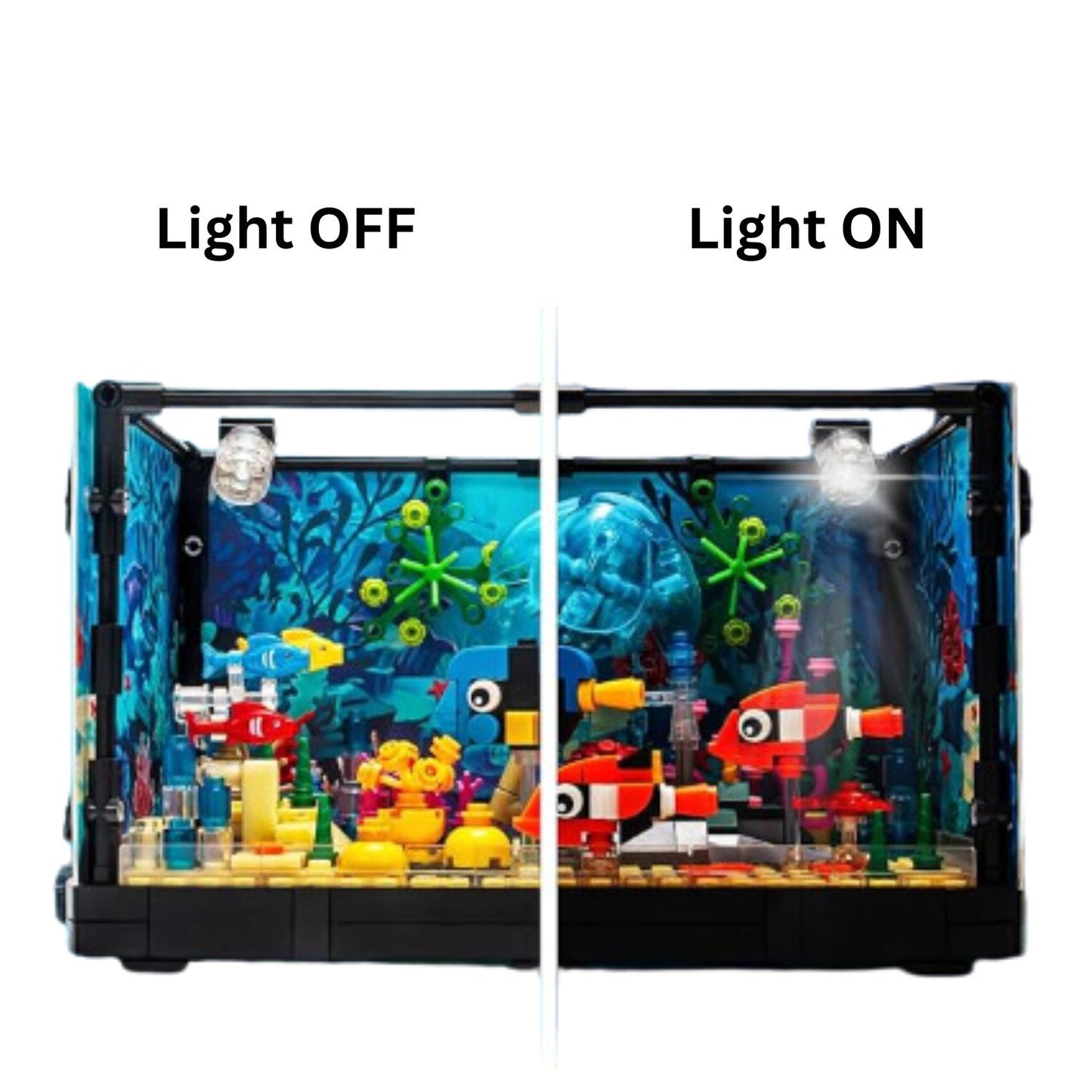 Fish Tank Set