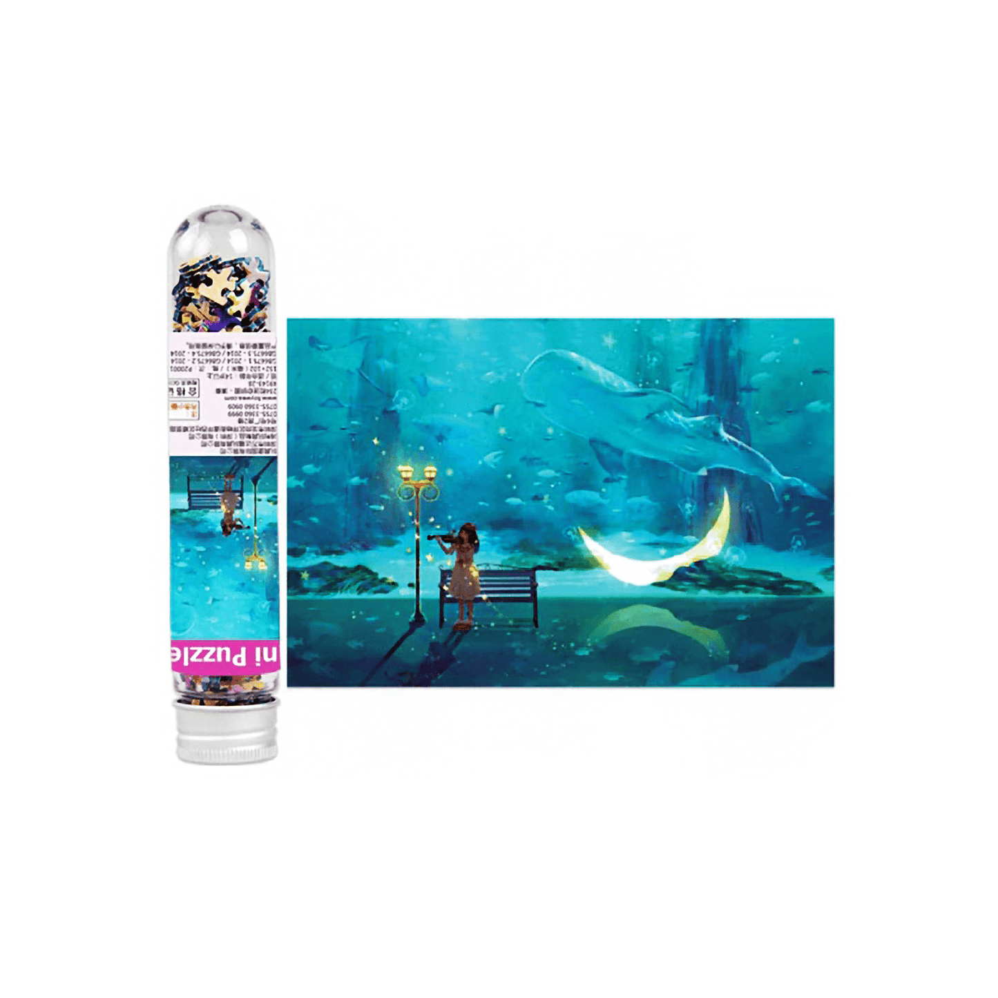 Aqua Violin Girl Test Tube Puzzle - Block Center