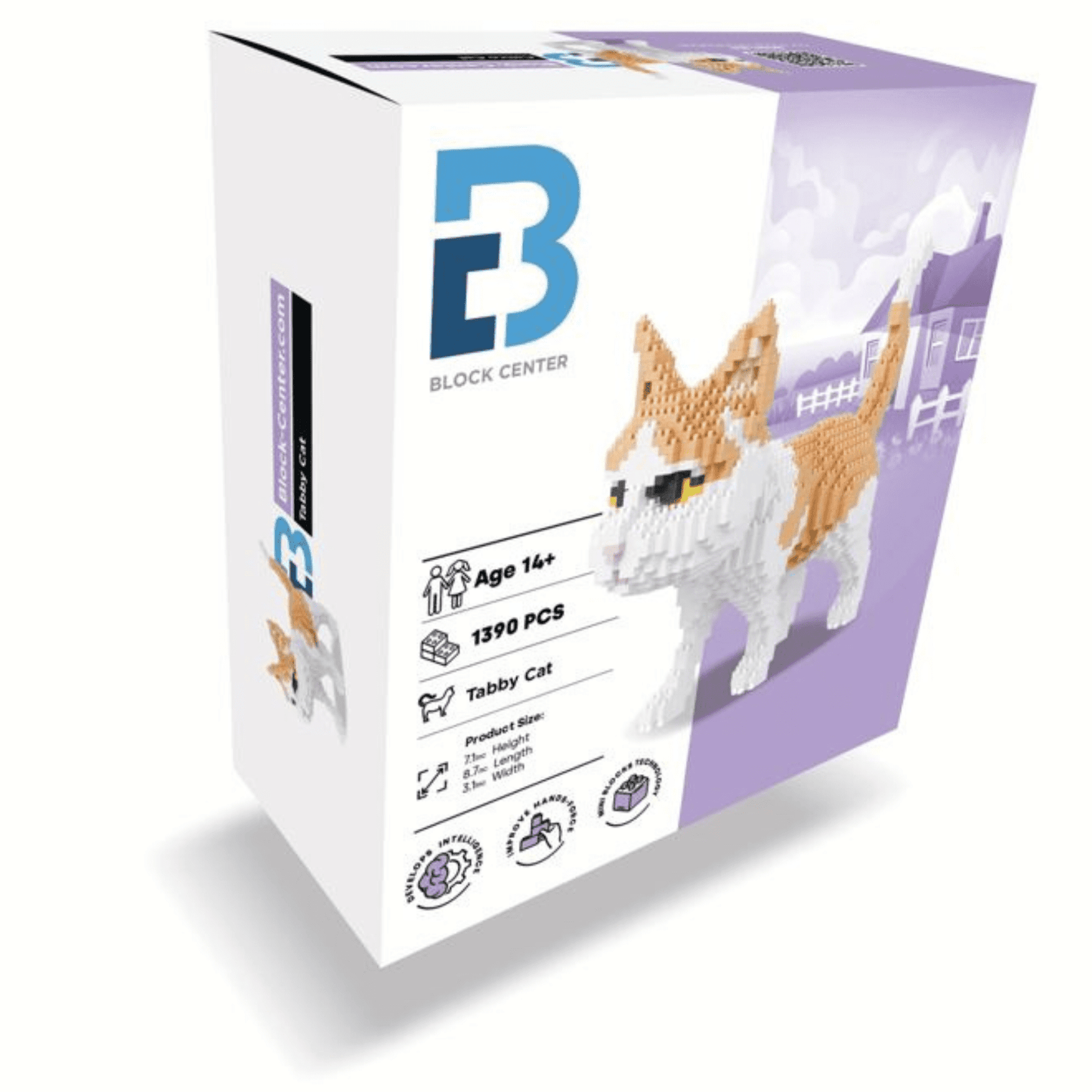 Tabby Cat - Block Center