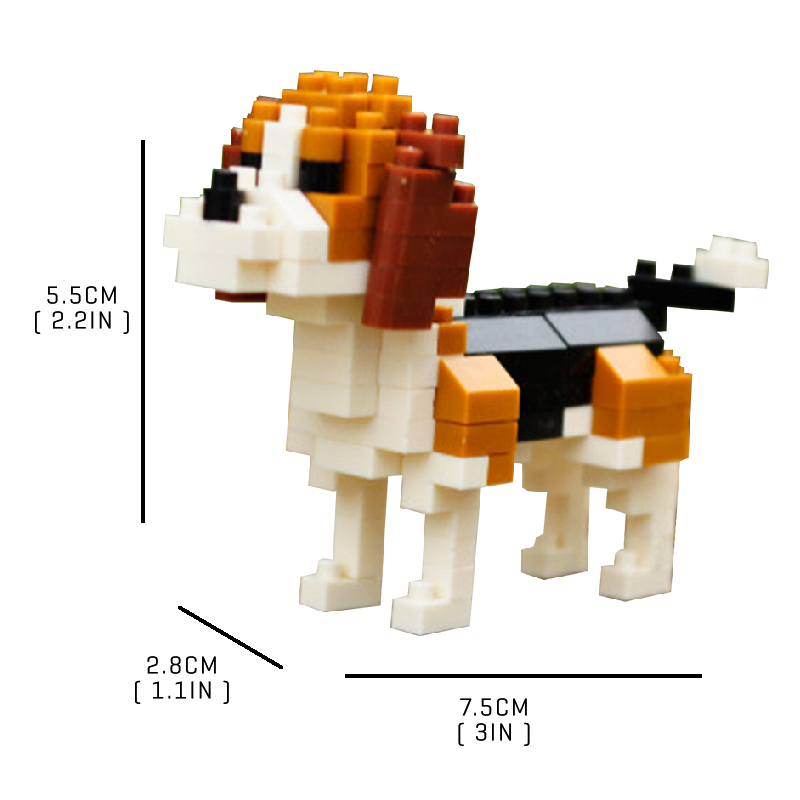 Cute Little Beagle - Block Center