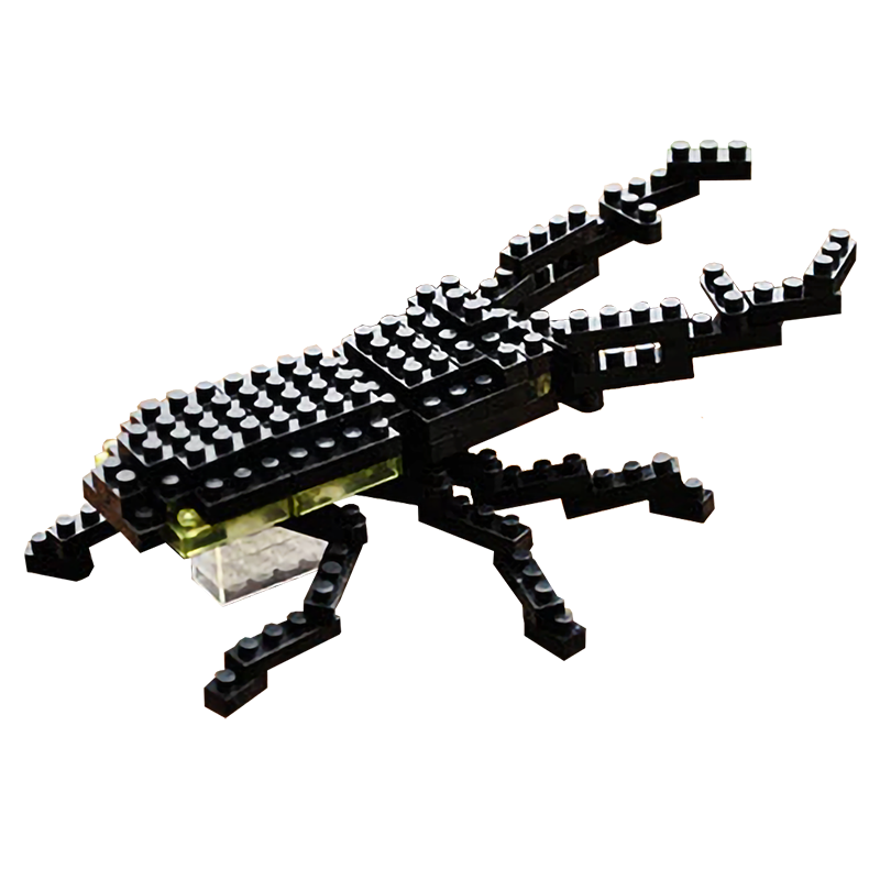 Little Stag Beetle - Block Center