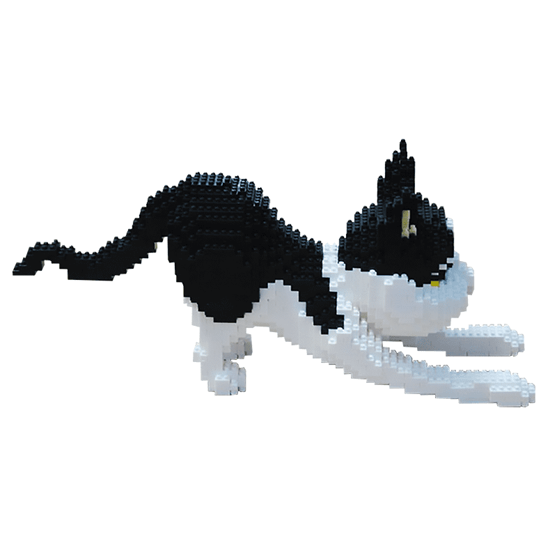 Playful Kitten - Block Center