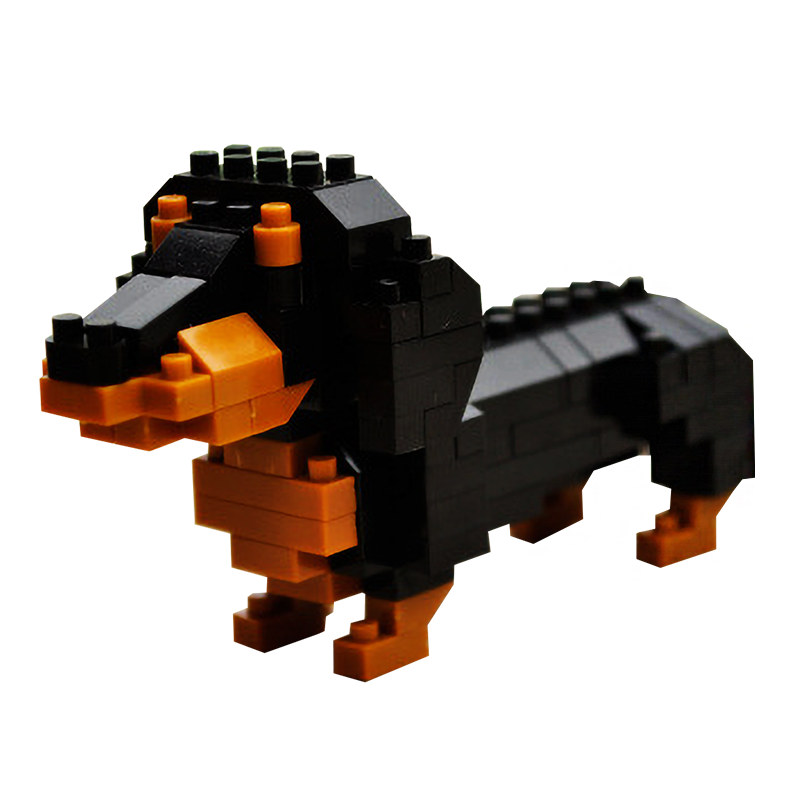 Cute & Tiny Dachshund - Block Center