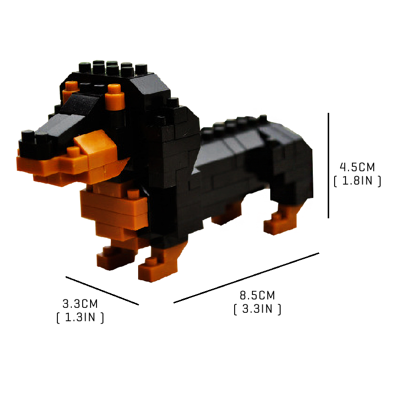 Cute & Tiny Dachshund - Block Center
