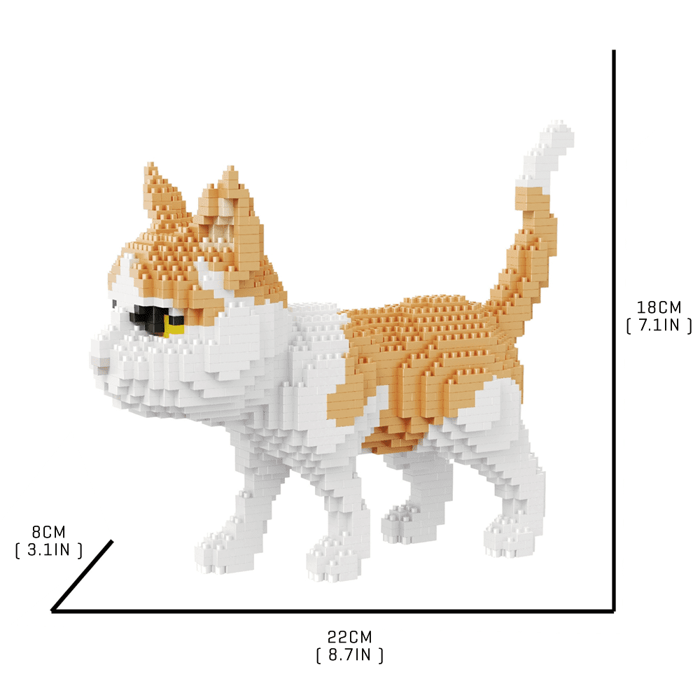 Tabby Cat - Block Center