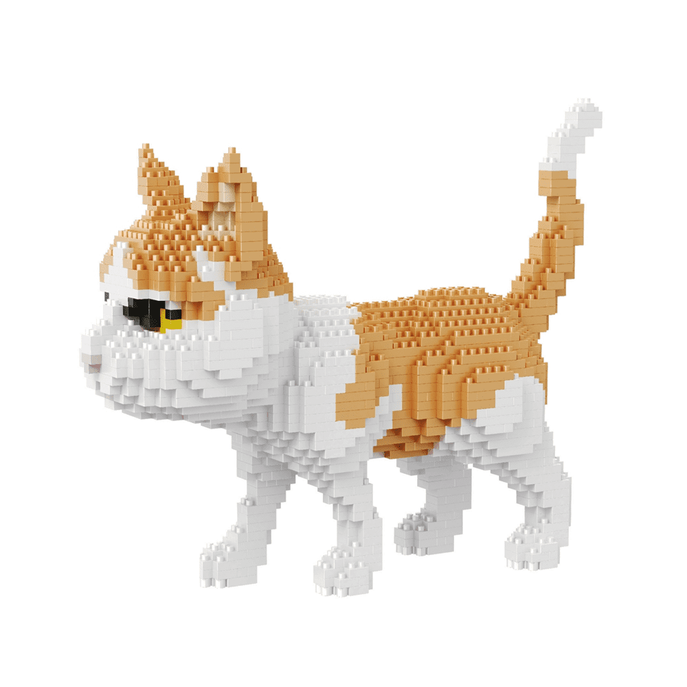 Tabby Cat - Block Center