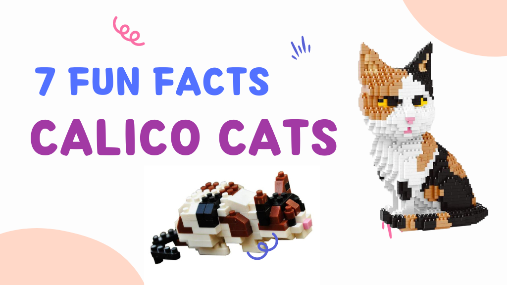 7 Calico Cats Fun Facts