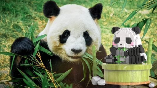 Building Panda Blocks Can Contribute to Panda Conservation