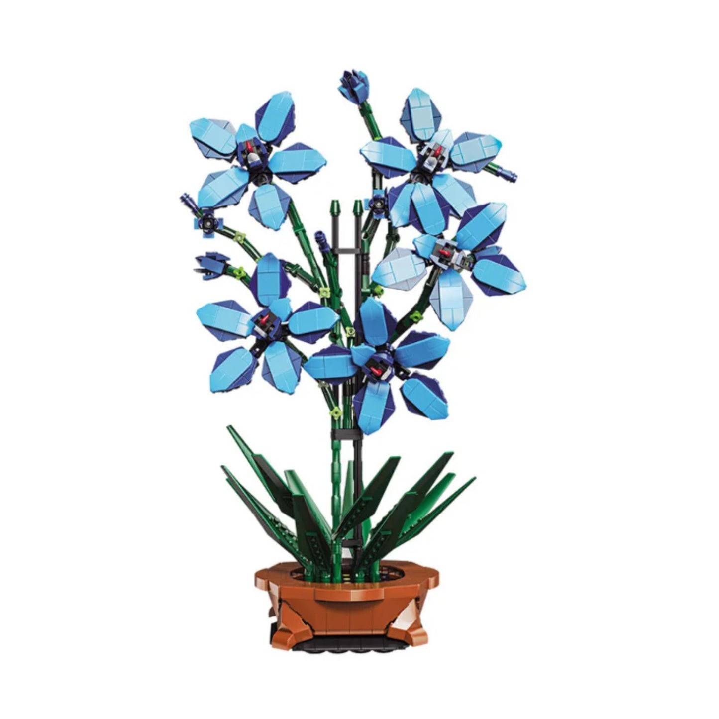Blue Orchid Set