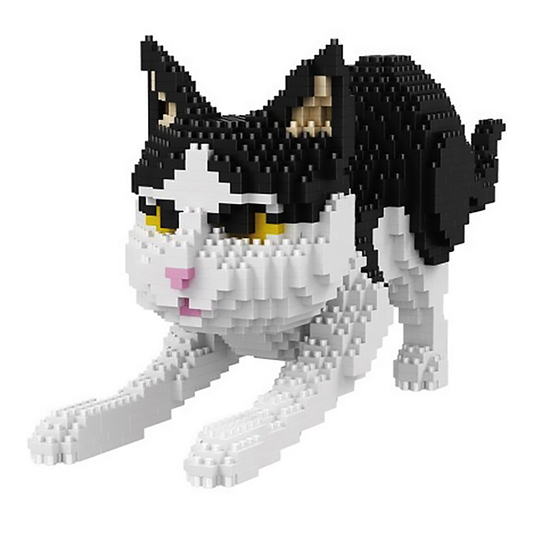 Playful Kitten - Block Center